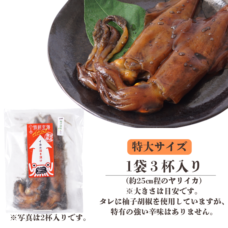 特別企画】宗像夏の天然海鮮4種セット（あなご刺し・炙り刺し